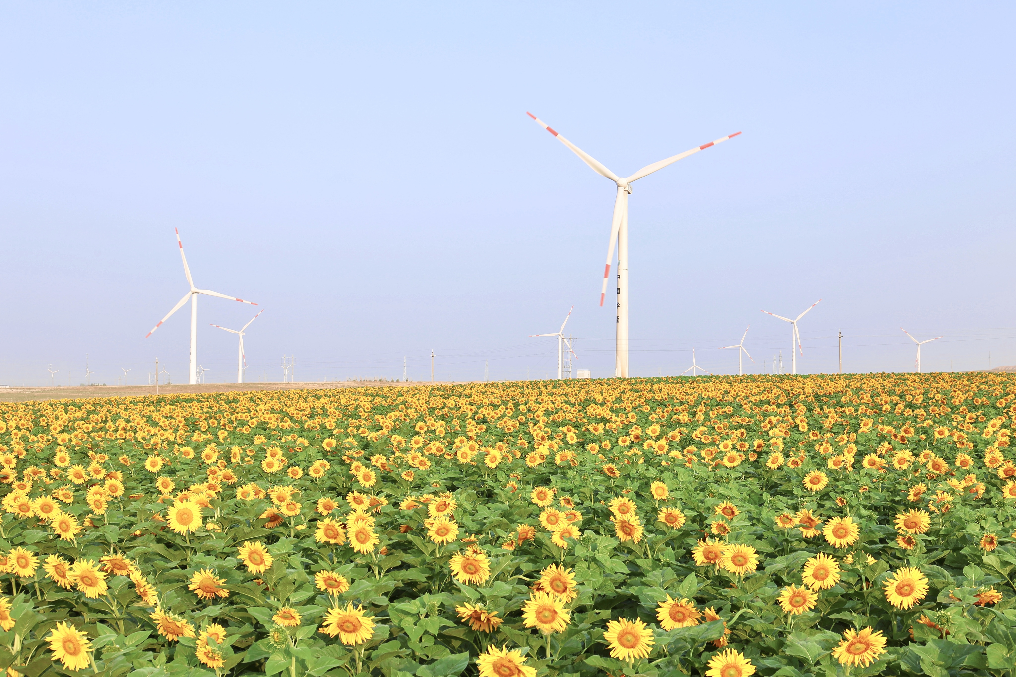 yp街机股份助力推动风电场控制技术国际研发项目顺利实施